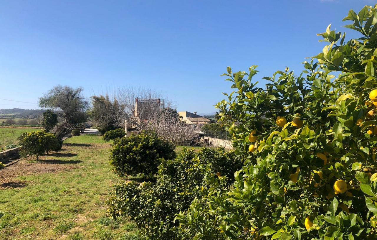 Son Roig ,Beautiful Place In The Heart Of Mallorca -Etv 9979 María de la Salud Екстериор снимка