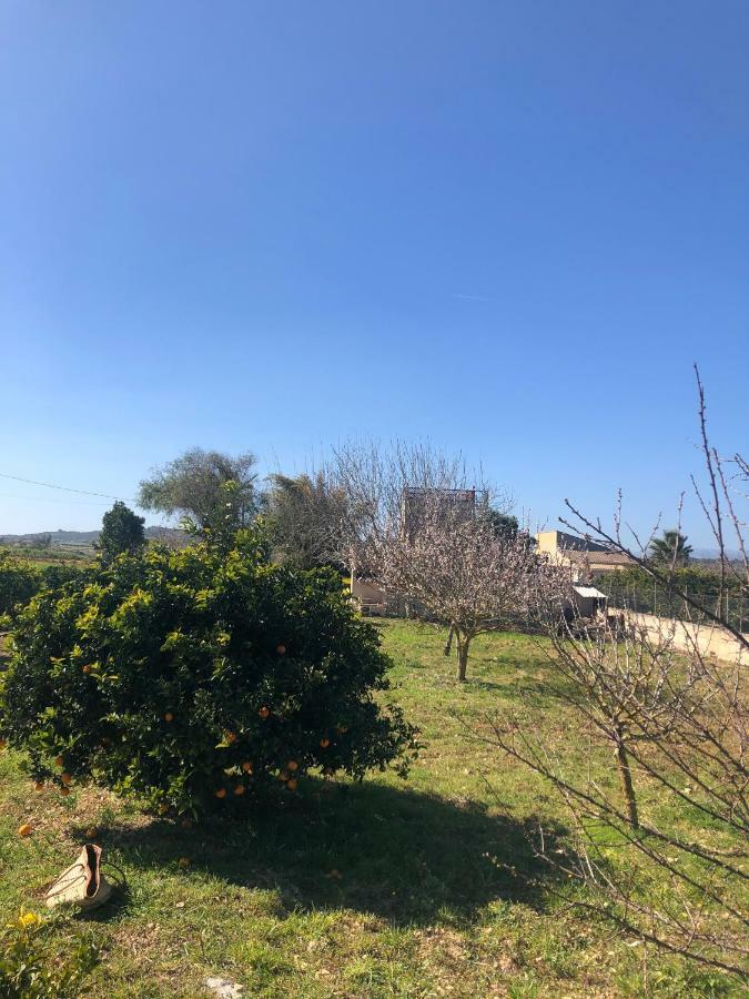 Son Roig ,Beautiful Place In The Heart Of Mallorca -Etv 9979 María de la Salud Екстериор снимка